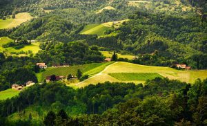 Things to Do in Ljubljana – Top Attractions and Local Experiences