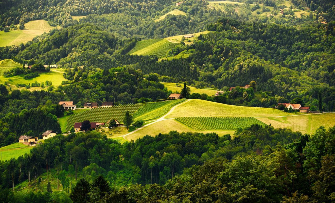 Things to Do in Ljubljana – Top Attractions and Local Experiences