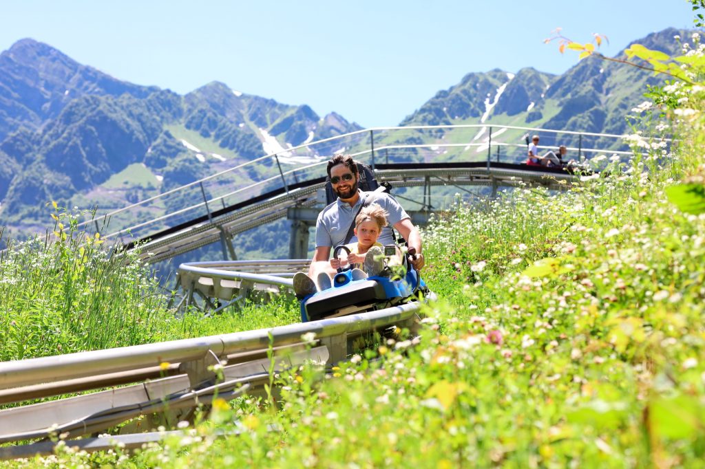 Summer toboggan ride on Straža Hill – fun and thrilling things to do in Bled