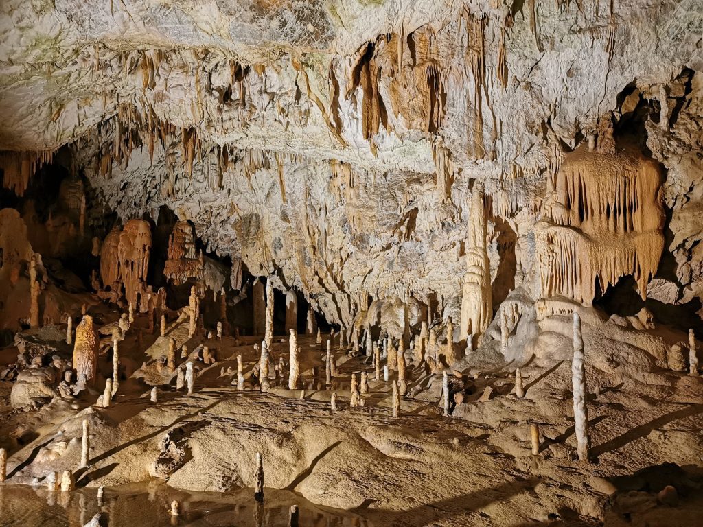 Why Visit Postojna Cave from Bled – spectacular rock formations and underground train adventure