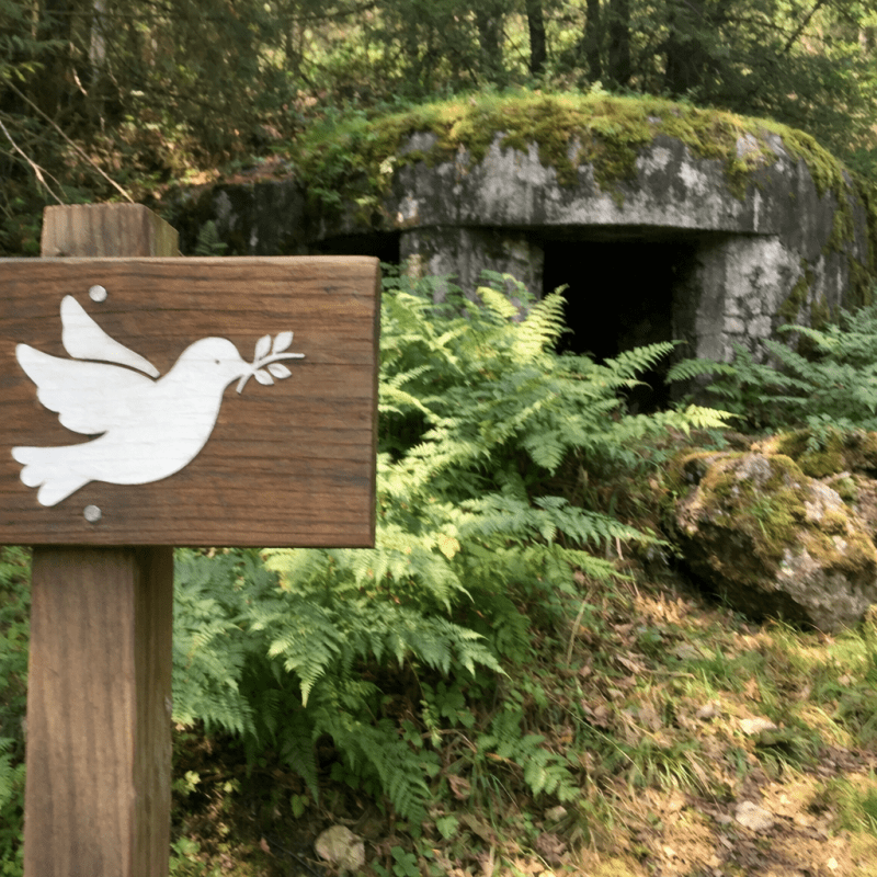 The Walk of Peace Trail: A 2026 Guide to the Isonzo Front The Walk of Peace Trail: A 2026 Guide to the Isonzo Front — photo 1, tanya.guide