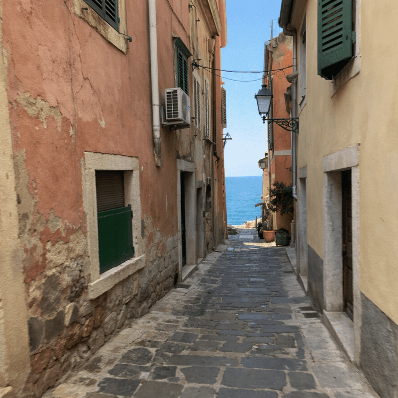 Best of Slovenia: Nature, Tours & Seaside (An Insider Guide to 2026) Best of Slovenia: Nature, Tours & Seaside (An Insider Guide to 2026) — photo 2, tanya.guide