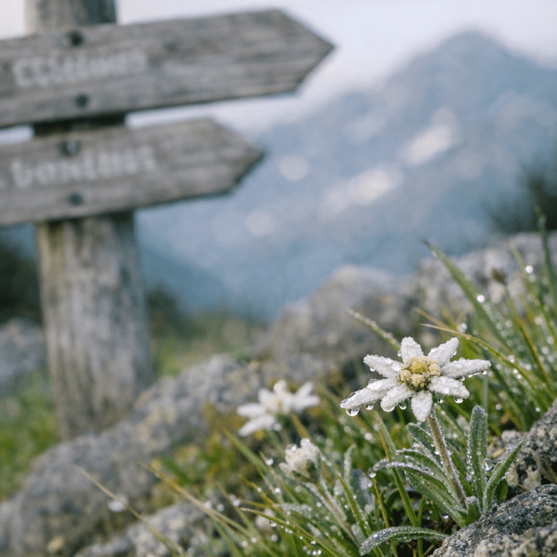 Trenta Valley Hiking: A Local Expert Guide to the Heart of Triglav National Park Trenta Valley Hiking: A Local Expert Guide to the Heart of Triglav National Park — photo 2, tanya.guide