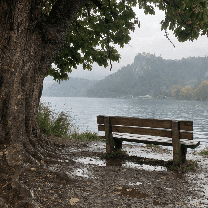 Walk Around Lake Bled: Distance, Tips & Hidden Spots (Local Guide) Walk Around Lake Bled: Distance, Tips & Hidden Spots (Local Guide) — photo 2, tanya.guide