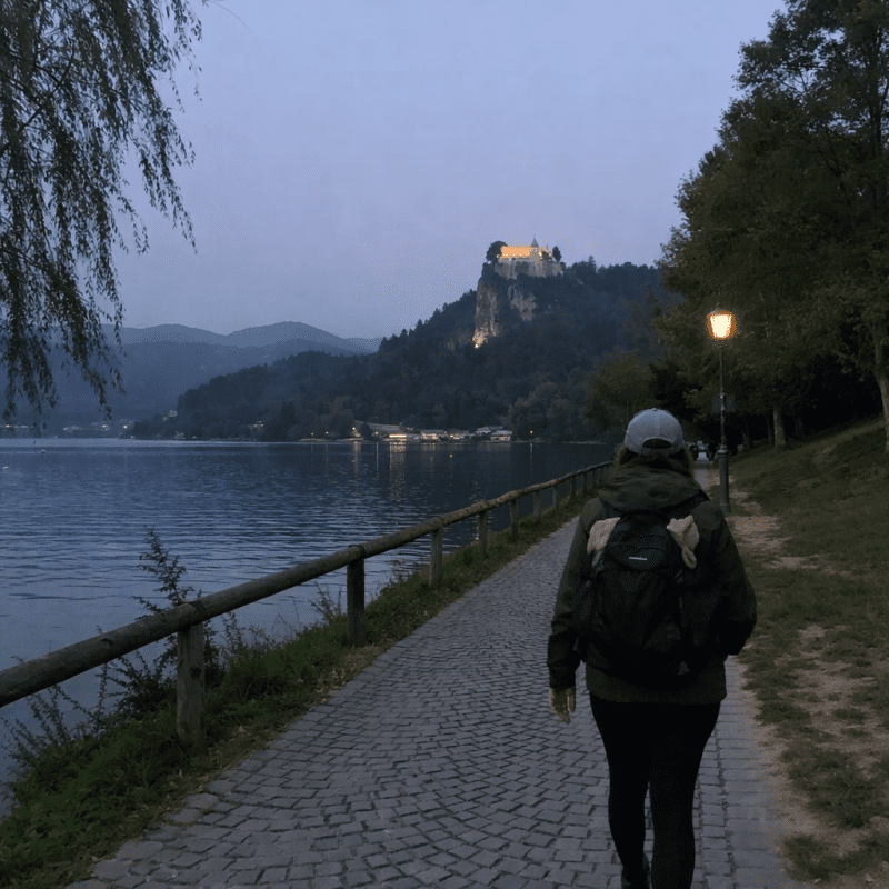 Is Slovenia Safe? Your Ultimate 2026 Guide to Safety, Water, and Tipping Is Slovenia Safe? Your Ultimate 2026 Guide to Safety, Water, and Tipping — photo 2, tanya.guide