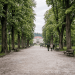 Tivoli Park Ljubljana: The Green Heart of the Capital and How Locals Use It