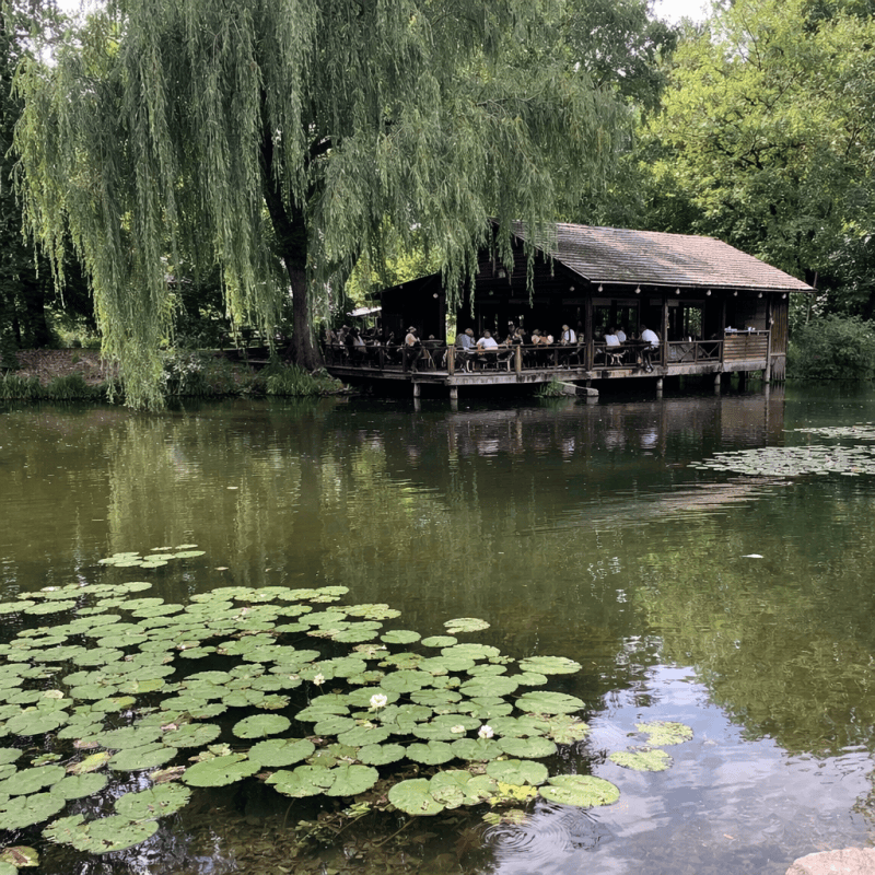 Tivoli Park Ljubljana: The Green Heart of the Capital and How Locals Use It — photo 2, tanya.guide