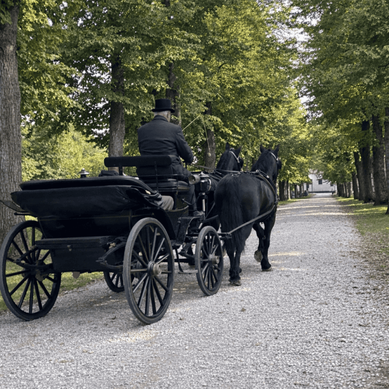 Lipizzaner Horses: Why Slovenia Lipizzaner Horses: Why Slovenia
