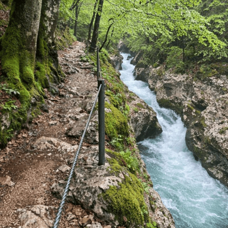 Why You Should Visit Lake Bohinj in Bad Weather: A Local Guide to Rainy Day Magic Why You Should Visit Lake Bohinj in Bad Weather: A Local Guide to Rainy Day Magic — photo 2, tanya.guide