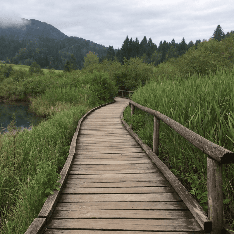 Zelenci Nature Reserve: Slovenia Zelenci Nature Reserve: Slovenia