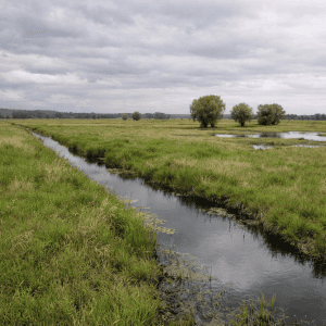 The Largest Wetland in Slovenia Is Hiding in Plain Sight Next to the Motorway