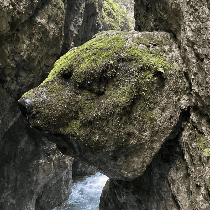 Vintgar Gorge vs Tolmin Gorges: Which One to Hike in 2026? Vintgar Gorge vs Tolmin Gorges: Which One to Hike in 2026? — photo 2, tanya.guide