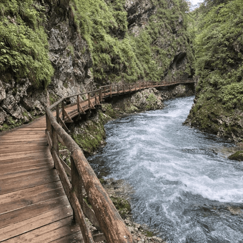Best Hiking Trails Near Lake Bled for Every Fitness Level: A Local Best Hiking Trails Near Lake Bled for Every Fitness Level: A Local