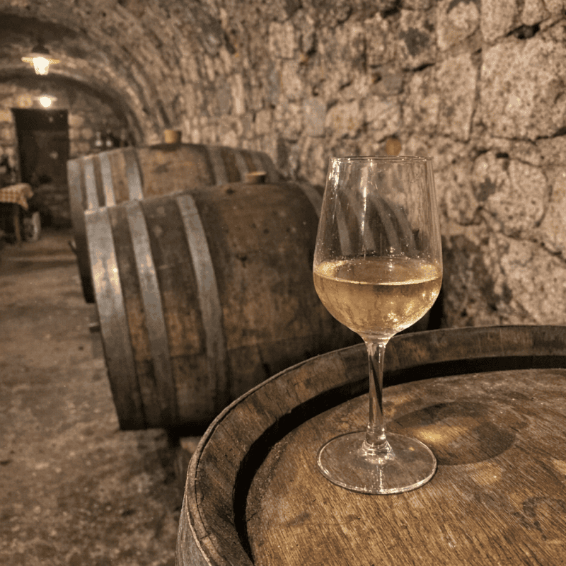 Best Wine Regions in Slovenia for a Day Trip: A Local Guide to 2026 Tastings Best Wine Regions in Slovenia for a Day Trip: A Local Guide to 2026 Tastings — photo 1, tanya.guide
